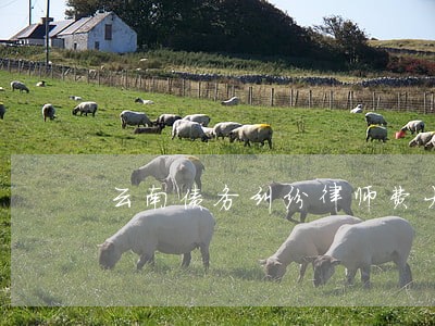 云南债务纠纷律师费大概多少 云南债务纠纷律师费大概多少