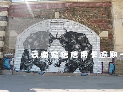 云南农信信用卡逾期一天 云南农信信用卡逾期一天
