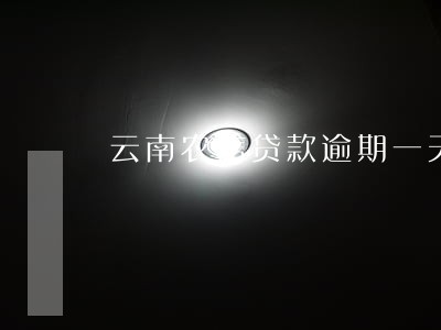 云南农信贷款逾期一天 云南农信贷款逾期一天