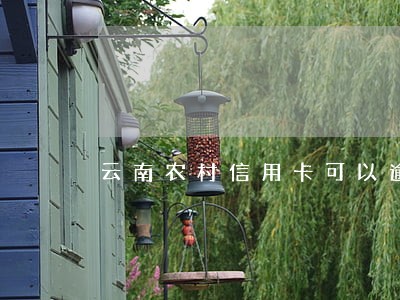 云南农村信用卡可以逾期多久