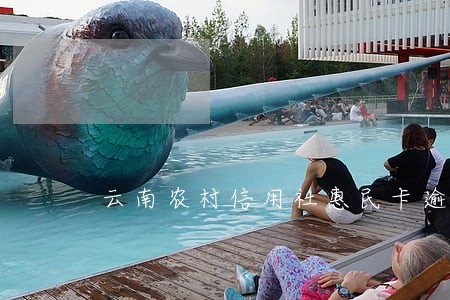 云南农村信用社惠民卡逾期 云南农村信用社惠民卡逾期