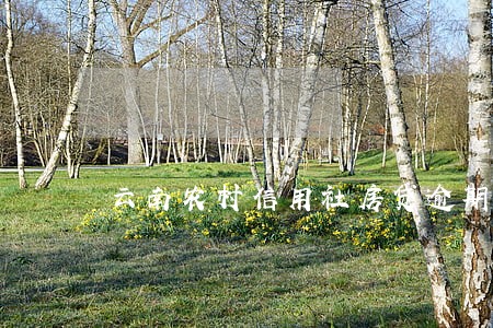 云南农村信用社房贷逾期6天 云南农村信用社房贷逾期6天