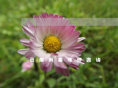 云南刑事律师咨询 云南刑事律师咨询