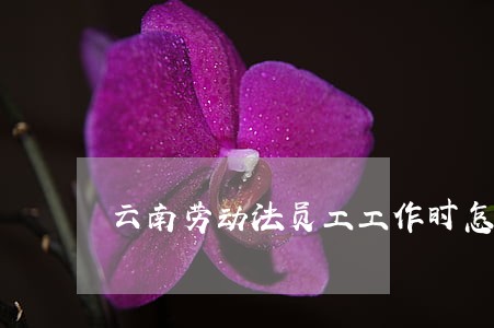 云南劳动法员工工作时怎样合理 云南劳动法员工工作时怎样合理