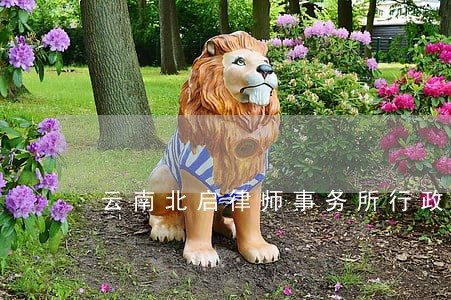 云南北启律师事务所行政纠纷律师