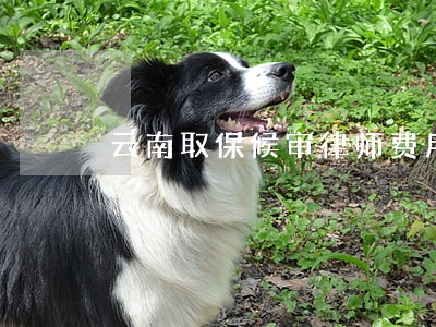 云南取保候审律师费用 云南取保候审律师费用