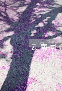 云南司法厅历任厅长 云南司法厅历任厅长