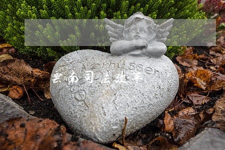 云南司法改革 云南司法改革