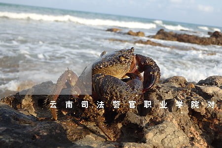 云南司法警官职业学院对德宏 云南司法警官职业学院对德宏