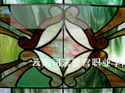 云南司法警官职业学院杨靖 云南司法警官职业学院杨靖