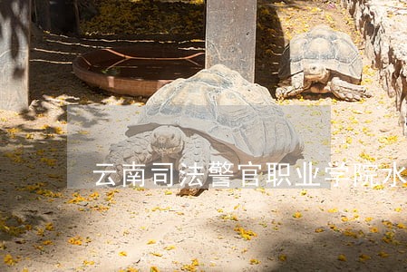 云南司法警官职业学院水利 云南司法警官职业学院水利