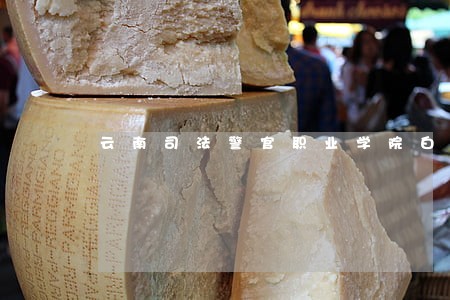 云南司法警官职业学院白云飞简历 云南司法警官职业学院白云飞简历