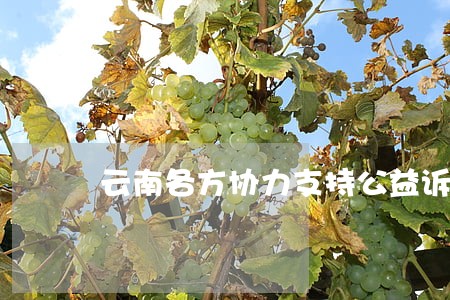 云南各方协力支持公益诉讼 云南各方协力支持公益诉讼