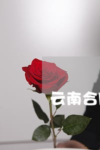 云南合同纠纷法律咨询热线 云南合同纠纷法律咨询热线