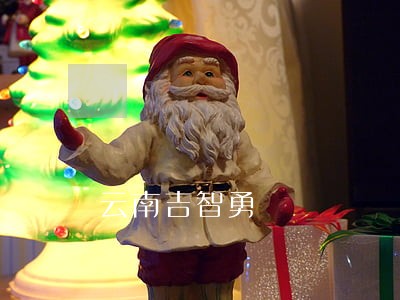 云南吉智勇