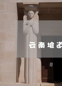 云南坡道交通事故怎么诉讼