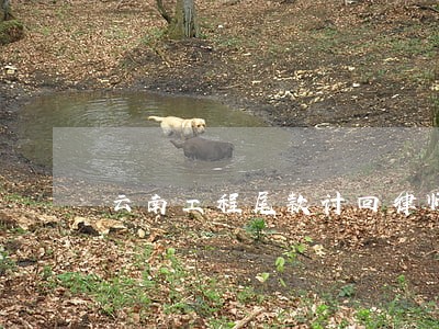 云南工程尾款讨回律师费用 云南工程尾款讨回律师费用