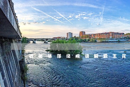 云南张萍法院调解霸王花 云南张萍法院调解霸王花