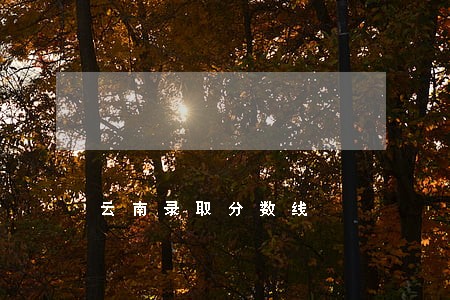 云南录取分数线 云南录取分数线
