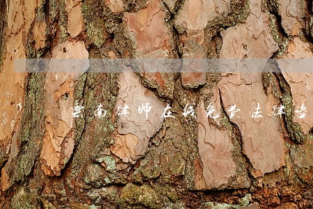 云南律师在线免费法律咨询 云南律师在线免费法律咨询