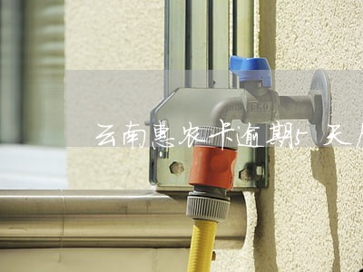云南惠农卡逾期5天后果严重吗 云南惠农卡逾期5天后果严重吗