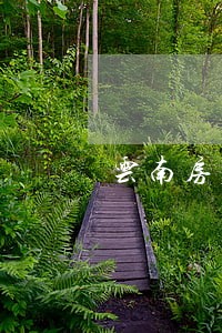 云南房屋纠纷律师推荐 云南房屋纠纷律师推荐