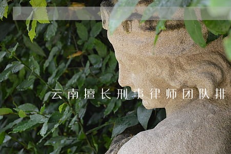 云南擅长刑事律师团队排名 云南擅长刑事律师团队排名