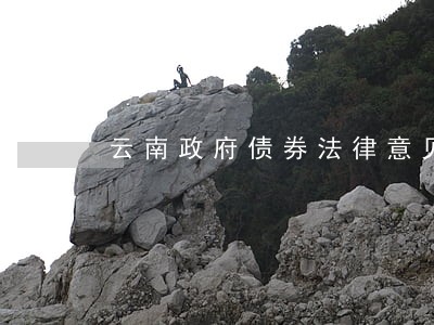 云南政府债券法律意见书 云南政府债券法律意见书