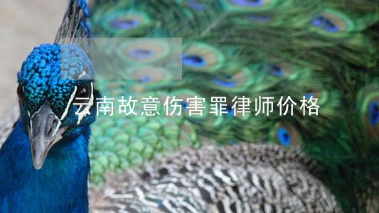 云南故意伤害罪律师价格 云南故意伤害罪律师价格