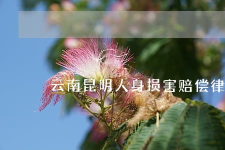 云南昆明人身损害赔偿律师哪个好