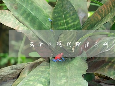 云南昆明代理债务纠纷律师预约 云南昆明代理债务纠纷律师预约