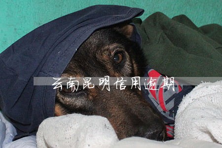 云南昆明信用逾期 云南昆明信用逾期