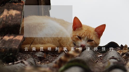 云南昆明刑事案件律师预约 云南昆明刑事案件律师预约