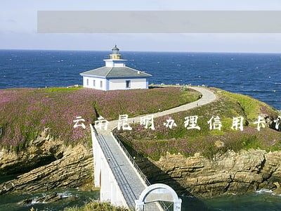 云南昆明办理信用卡诈骗案律师 云南昆明办理信用卡诈骗案律师