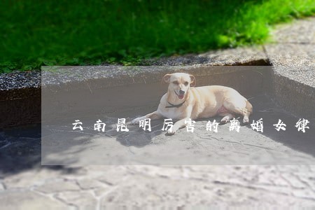云南昆明厉害的离婚女律师 云南昆明厉害的离婚女律师