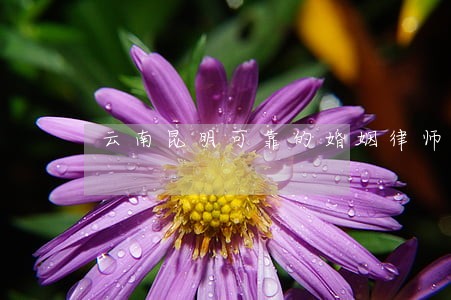 云南昆明可靠的婚姻律师 云南昆明可靠的婚姻律师