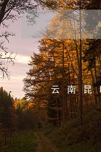 云南昆明富民县债务律师哪个好 云南昆明富民县债务律师哪个好