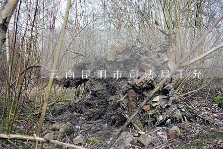 云南昆明市司法局王允