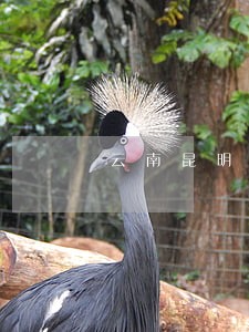 云南昆明找债务合同律师在线咨询