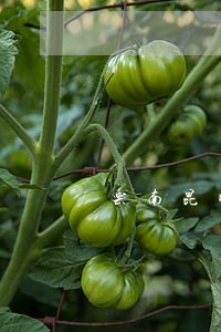 云南昆明找债务纠纷律师排名 云南昆明找债务纠纷律师排名