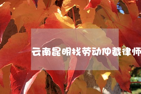 云南昆明找劳动仲裁律师 云南昆明找劳动仲裁律师