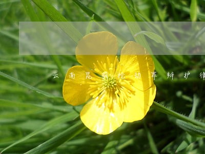 云南昆明抢劫罪辩护律师收费标准 云南昆明抢劫罪辩护律师收费标准