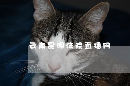 云南昆明法院直播网 云南昆明法院直播网