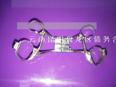 云南昆明盘龙区债务合同律师推荐 云南昆明盘龙区债务合同律师推荐