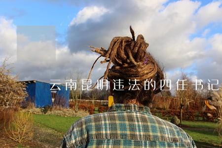 云南昆明违法的四任书记 云南昆明违法的四任书记
