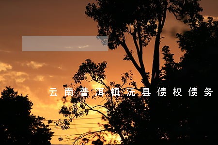 云南普洱镇沅县债权债务律师