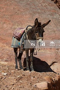 云南杰泽律师事务所 云南杰泽律师事务所