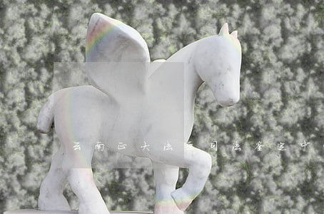 云南正大法医司法鉴定中心电话