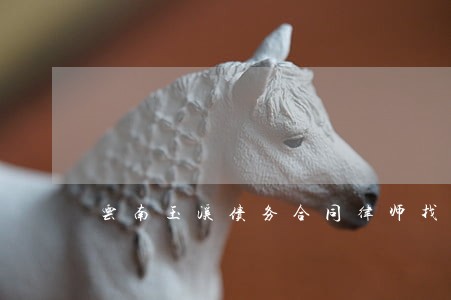 云南玉溪债务合同律师找谁好 云南玉溪债务合同律师找谁好