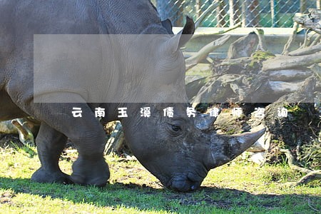 云南玉溪债务律师咨询 云南玉溪债务律师咨询